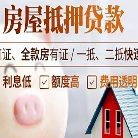 钢城贷款助贷公司新渝启服成立时间久
